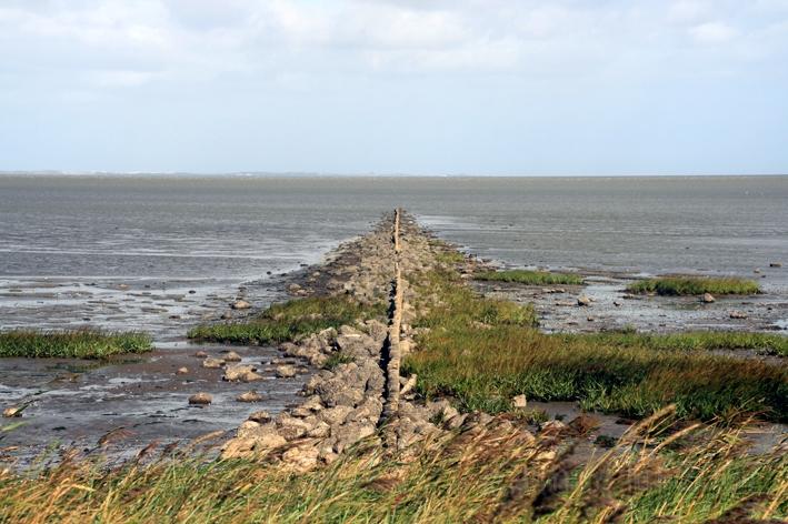 Morsum Kliff 15.jpg - Am Morsum Kliff